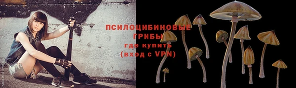 синтетический гашиш Кодинск