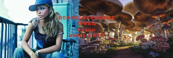 экстази Козельск
